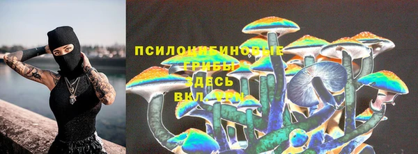 мяу мяу кристалл Надым