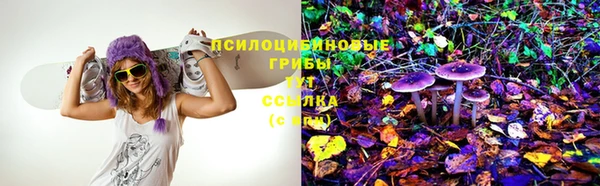 мяу мяу кристалл Надым