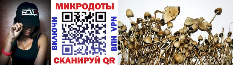 hydra ONION  Приволжск  Псилоцибиновые грибы Magic Shrooms  купить закладку 